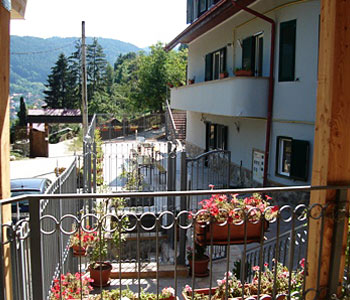 Vista