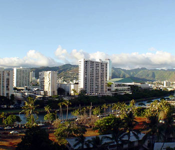 Vista