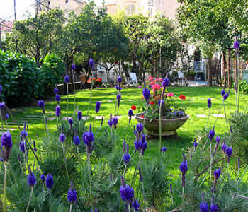 Giardino