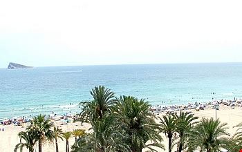 Vista Vista