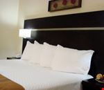 Suite Suite