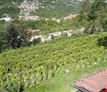 Giardino Giardino