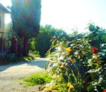Giardino Giardino