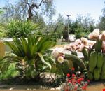 Giardino Giardino