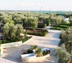 Giardino Giardino