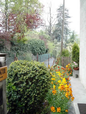 Giardino