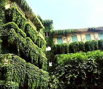Esterno