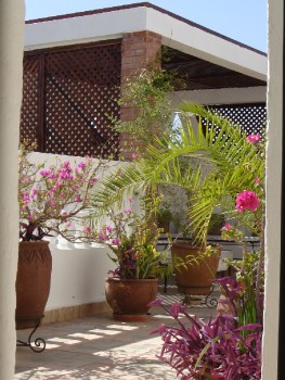 Terrazza