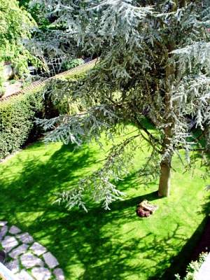 Giardino