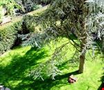 Giardino Giardino