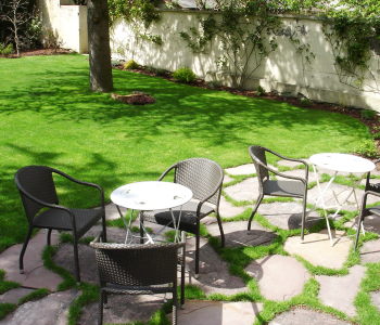 Terrazza