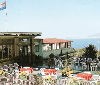 Vista