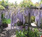 Giardino Giardino