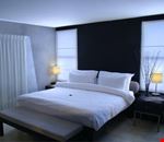 Suite Suite