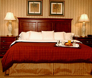 Suite king