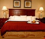 Suite king Suite king
