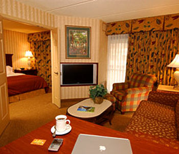 Suite king