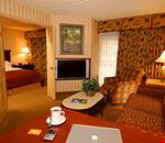 Suite king Suite king