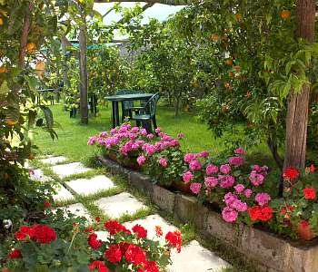 Giardino