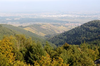 Terrazza