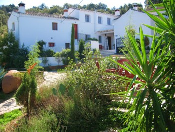 Esterno