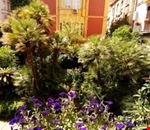 Giardino Giardino