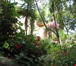 Giardino Giardino