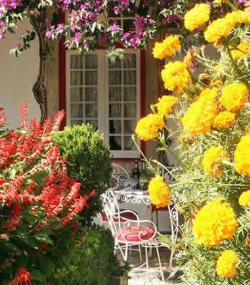 Giardino