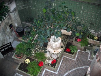 Esterno