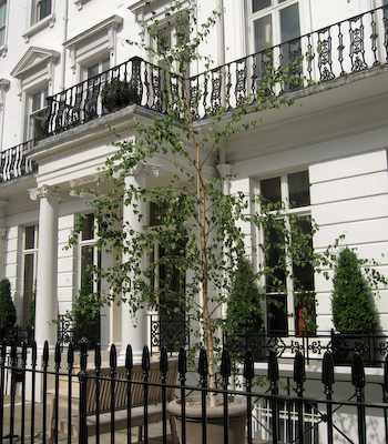 L'entrata