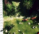 Giardino Giardino