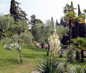Giardino