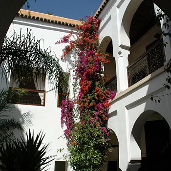 Cortile interno