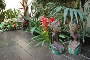 Giardino