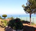 Giardino Giardino