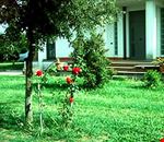Giardino Giardino