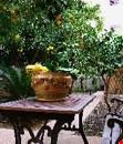 Giardino Giardino