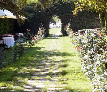 Giardino