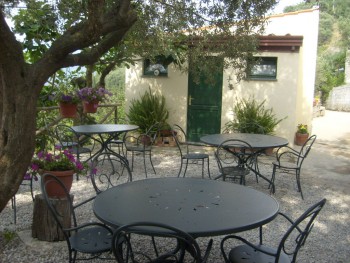 Giardino