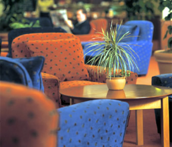 Salone