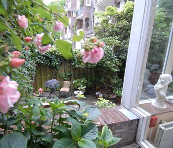 Cortile interno
