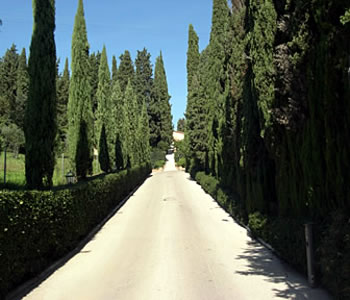I dintorni dell'hotel
