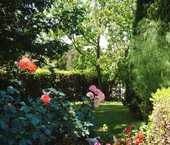 Giardino