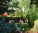 Giardino Giardino