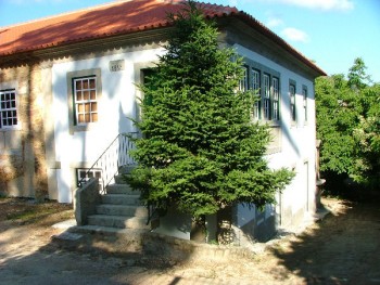 Esterno