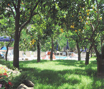 Giardino