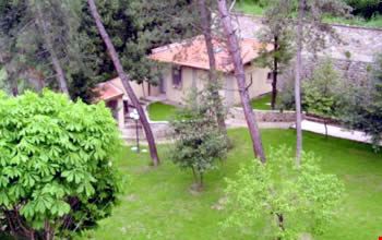 Giardino Giardino