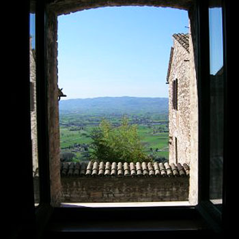 Vista