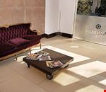 Salone Salone
