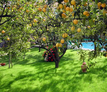 Giardino